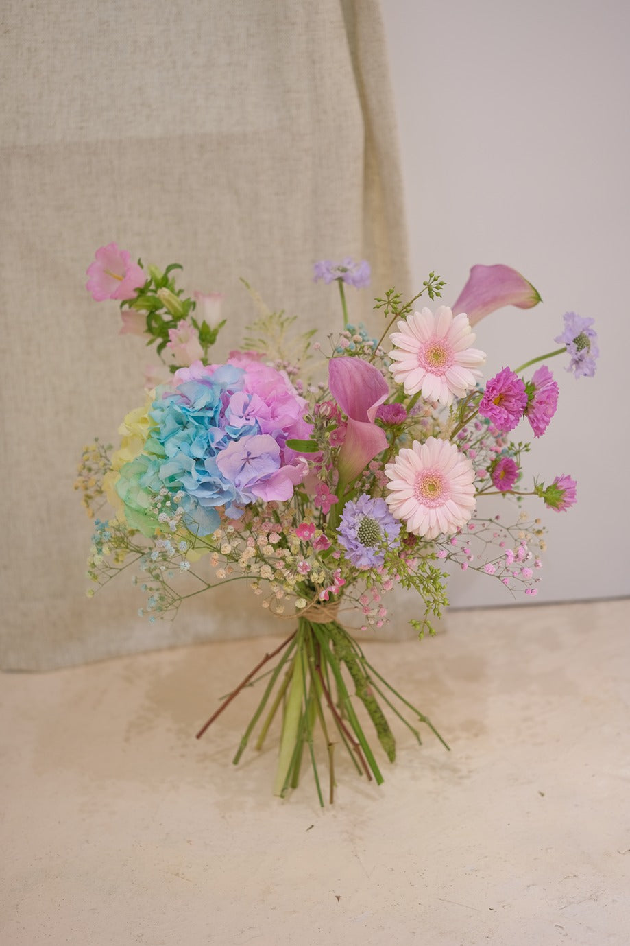 Rainbow | 繡球花