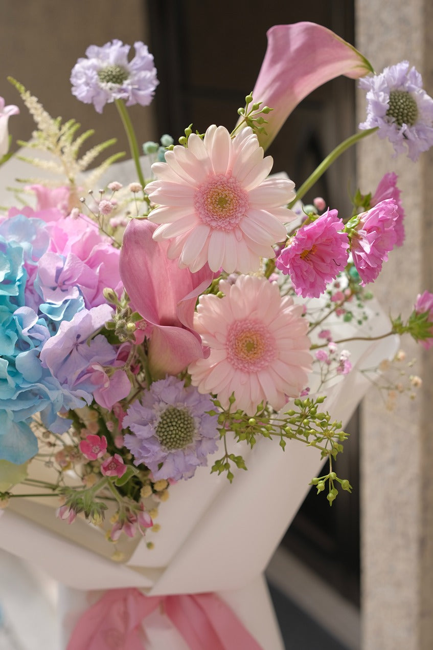 Rainbow | 繡球花