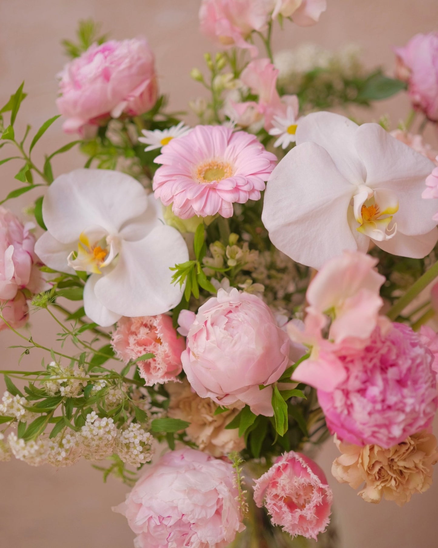 Blushing Gratitude | Light Pink Peony - 2025Mday - 4