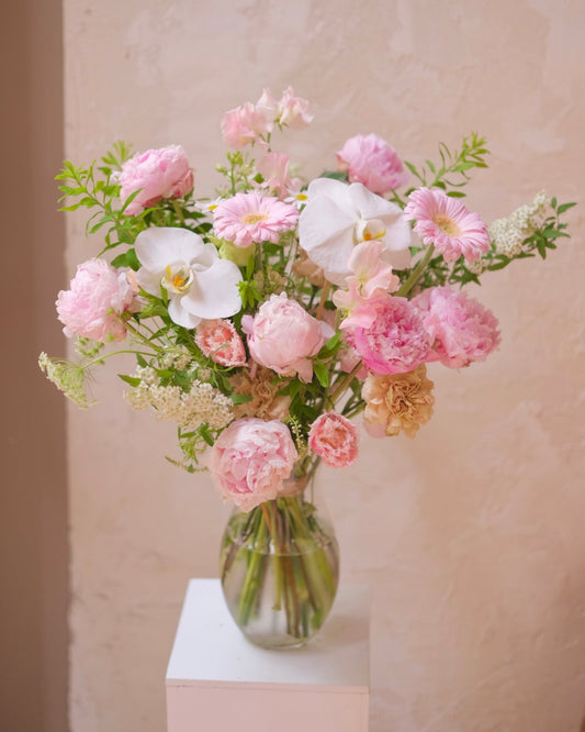 Blushing Gratitude | Light Pink Peony - 2025Mday - 1
