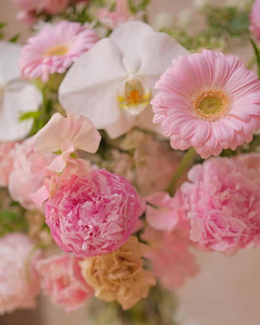 Blushing Gratitude | Light Pink Peony - 2025Mday - 2