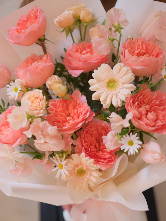 Coral Dragonfly | Garden Rose - 2026 Valentine's Day -