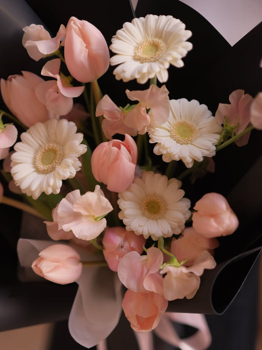 Dark Apricot | Salmon Tulip - 2026 Valentine's Day -