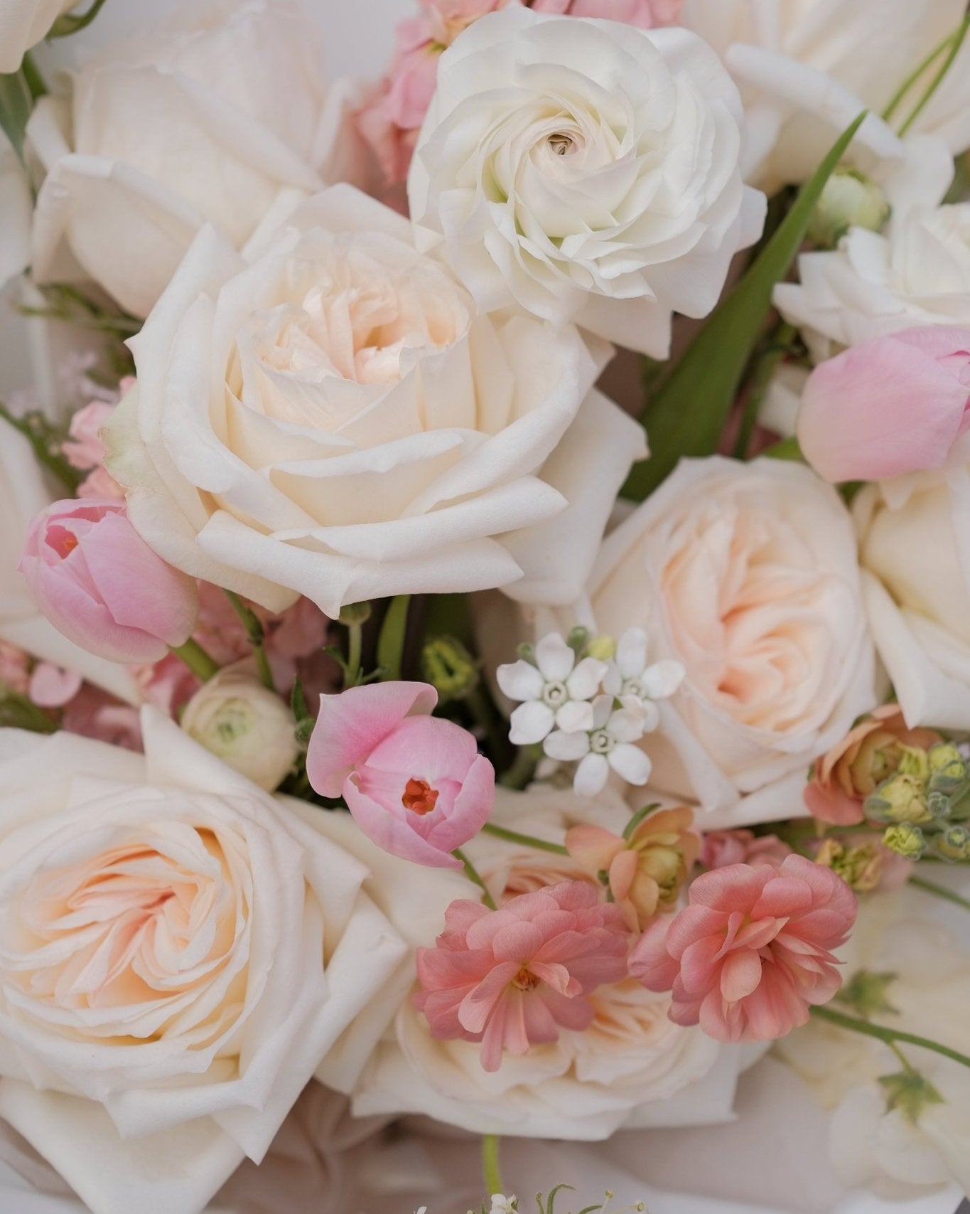 Love Blooms | White O' Hara Rose - 2025vday - 4