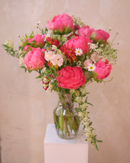 Love in Motion | Coral Charm Peony - 2025Mday - 1