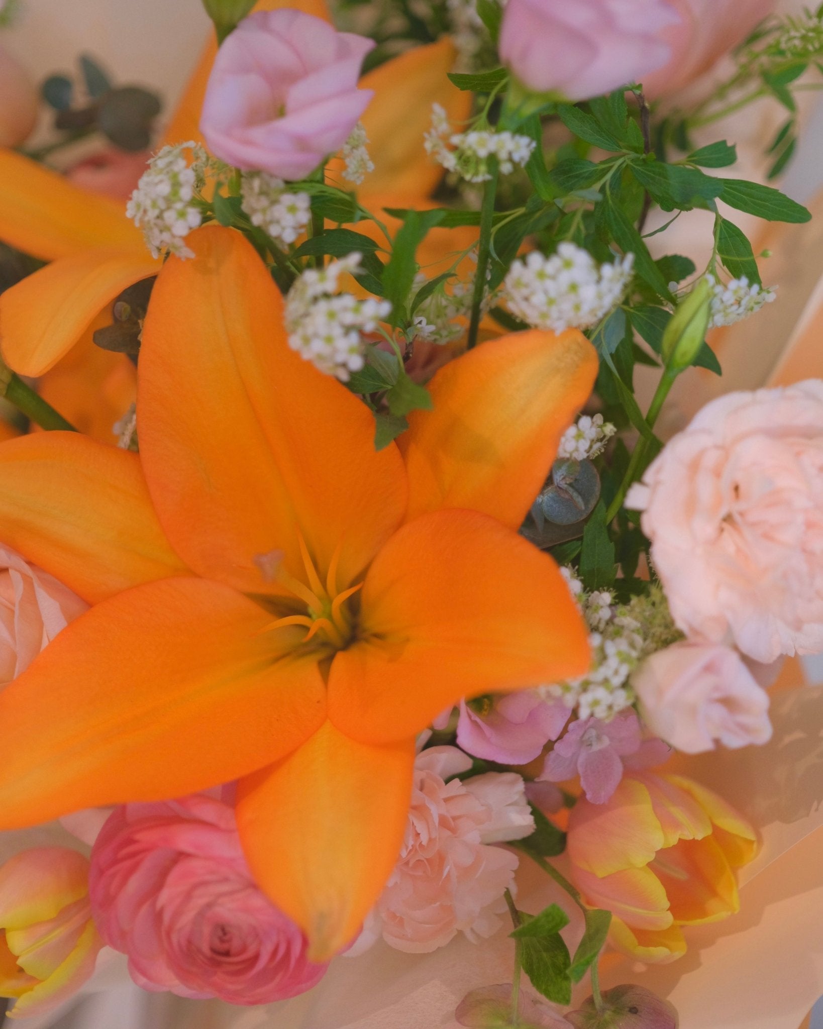 Lovely Orange Lily - Lily - 3