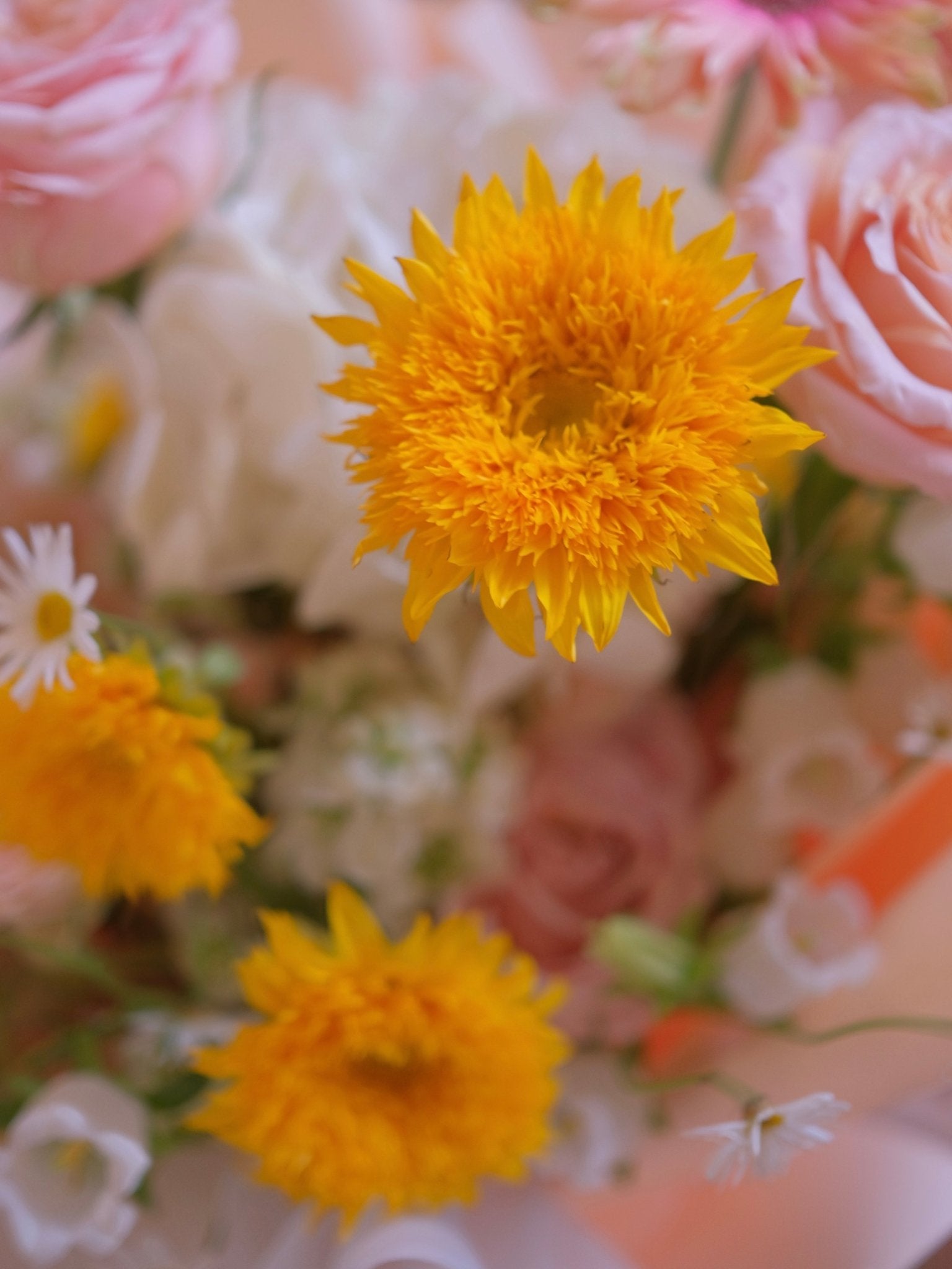 New Chapter |Sunflower & Hydrangea - Fresh Flowers - Bouquet - Bouquet - Graduation - Sunflower - 2