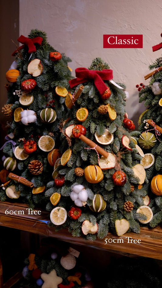 Noble Fir Christmas Tree - 2024 xmas - 2