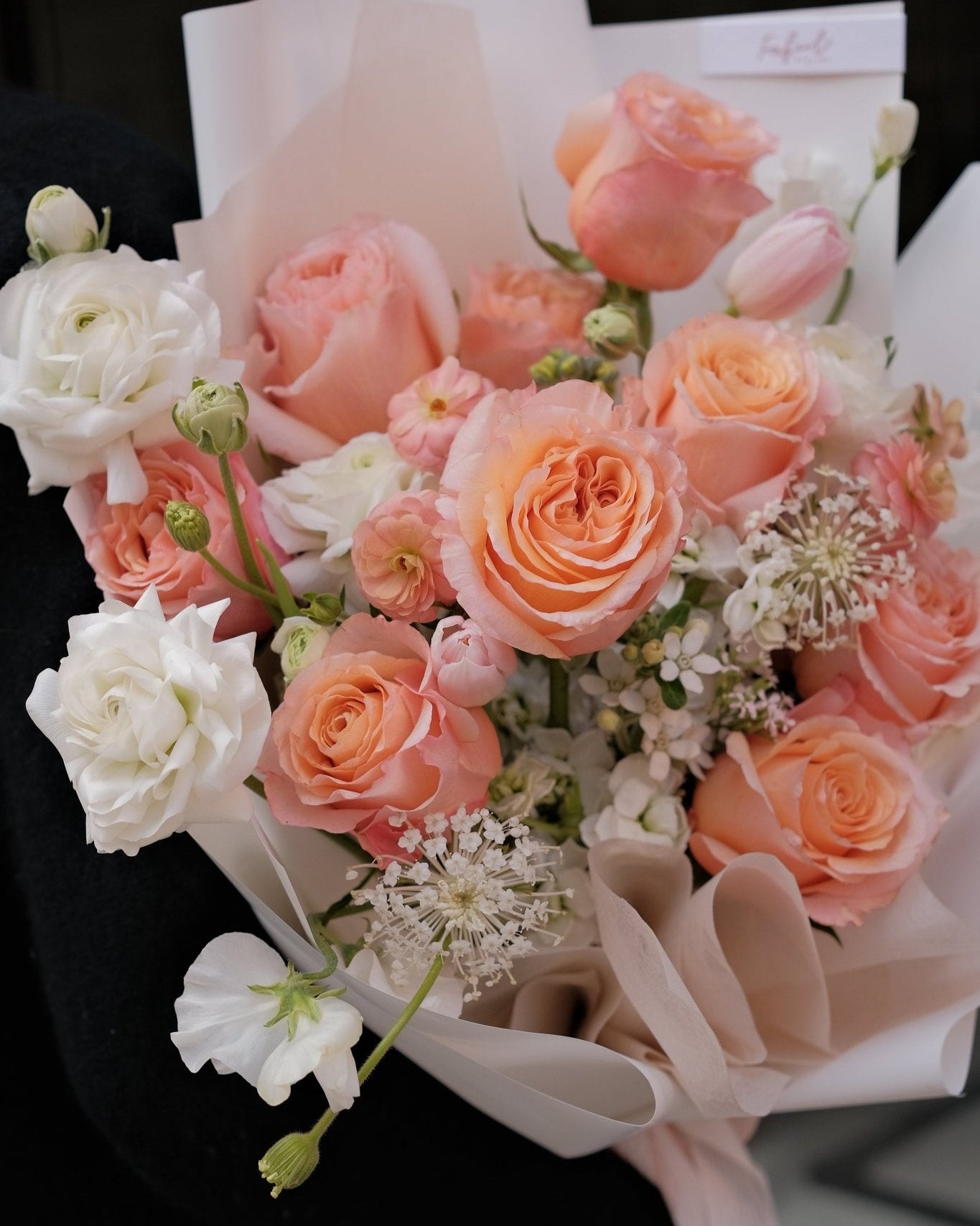 Peach Fascination | Peach Rose - 2025vday - 3