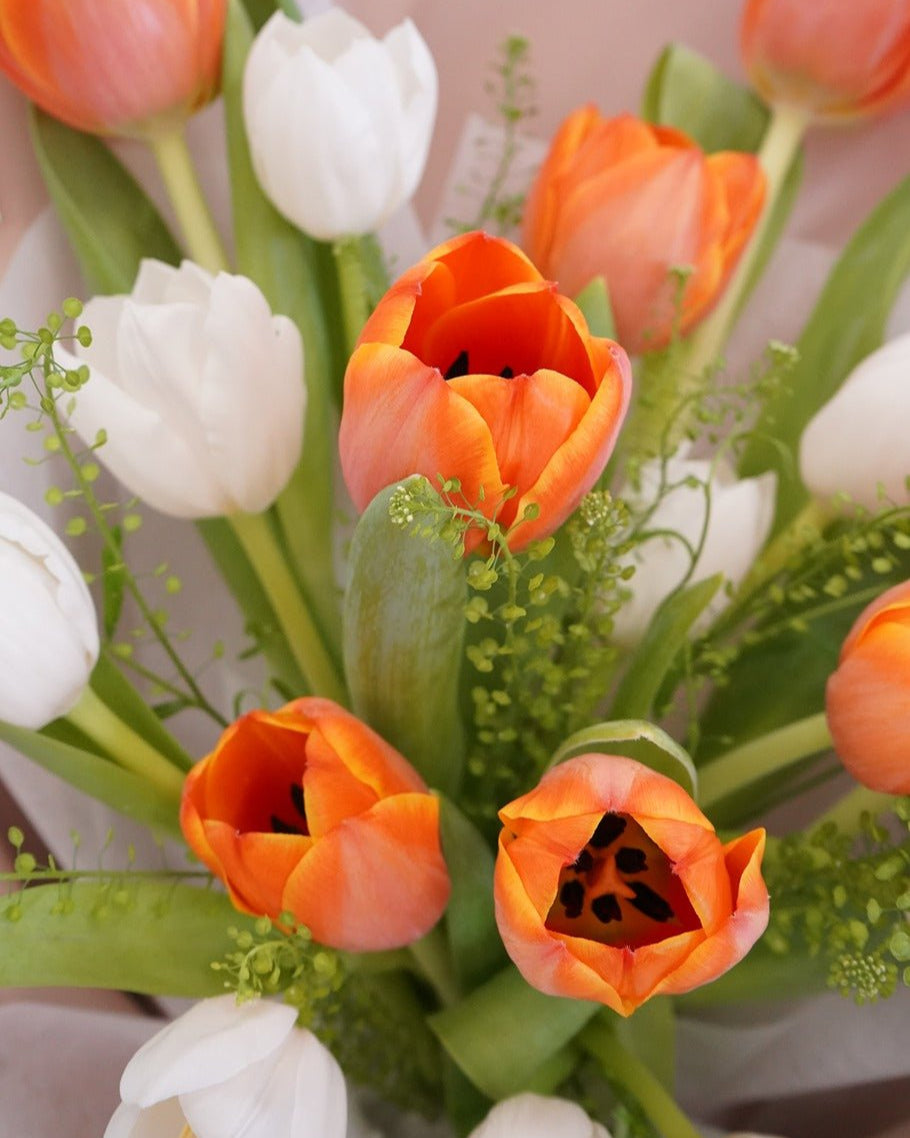 Tulip | 2 Colors - Fresh Flowers - Bouquet - 2025vday - 5