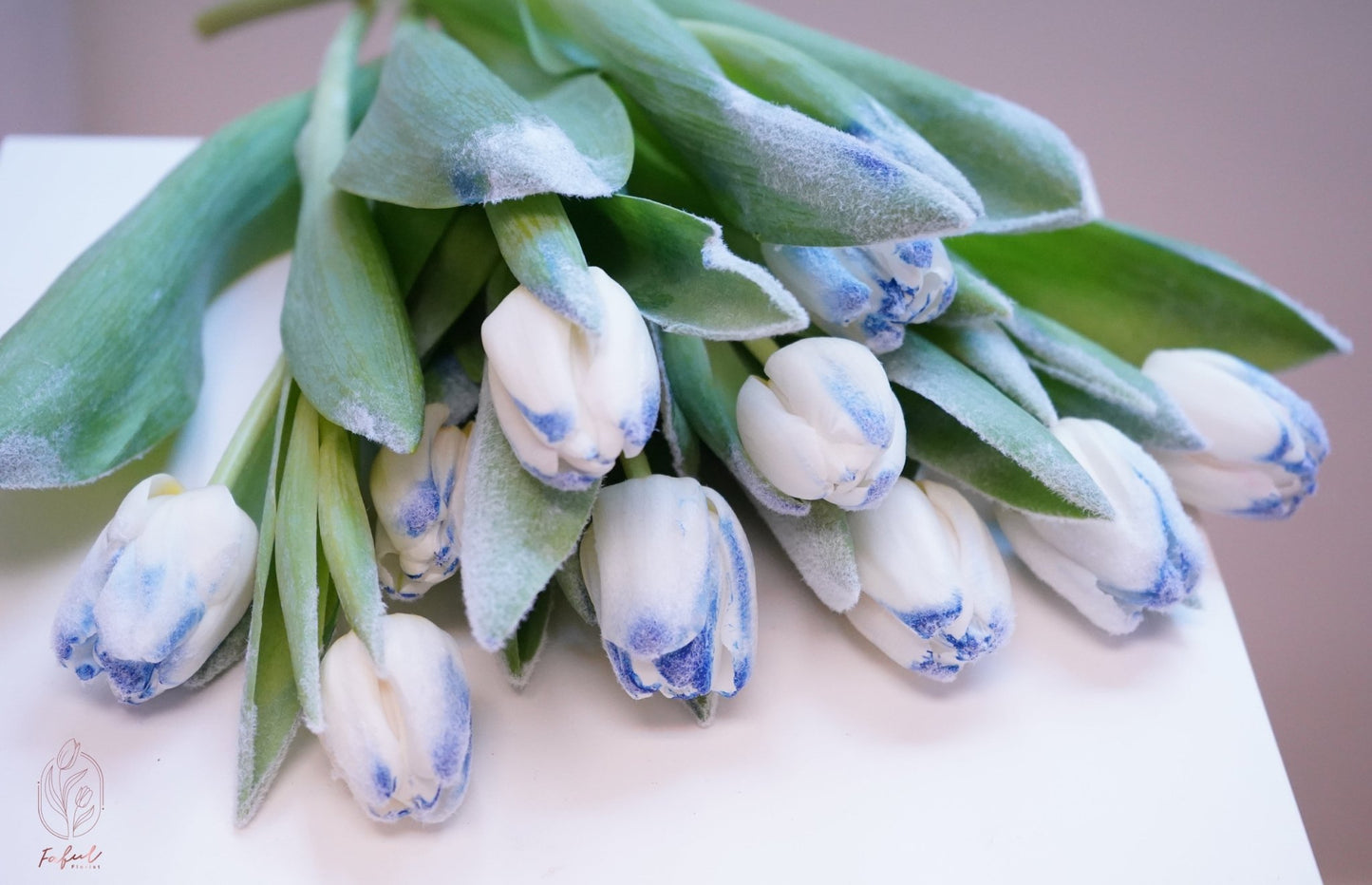 Snowflake | Frozen Light Blue Tulip - Fresh Flowers - Bouquet - Bouquet - for him - Speedy Recovery - 6