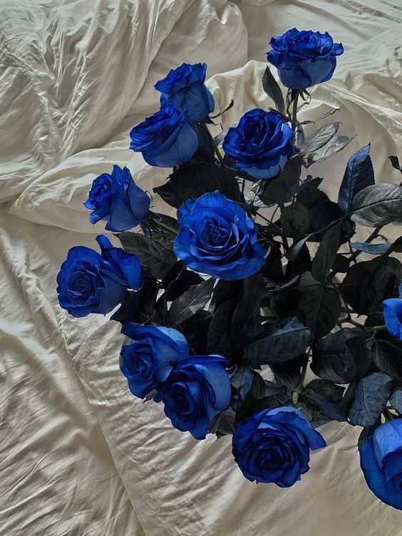 Mind-Blowing Blue Rose Meaning: A Gateway to Fantasies - Faful Florist
