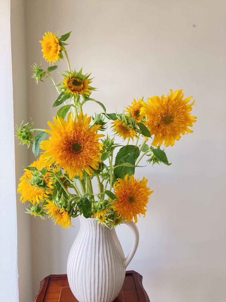 Sunflower Meaning: Exploring the Deep Symbolism Behind Sunflower - Faful Florist