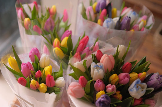 Tulip Meaning: More than just a Springtime Icon - Faful Florist