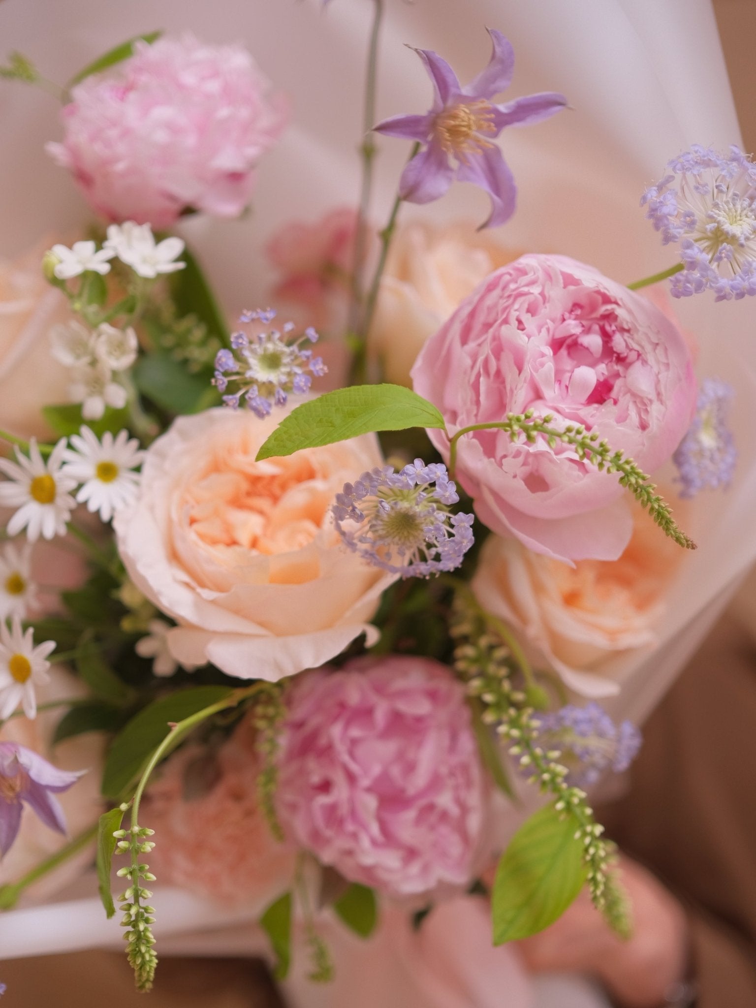 Blushing Gratitude | Light Pink Peony - 2026Mday - 