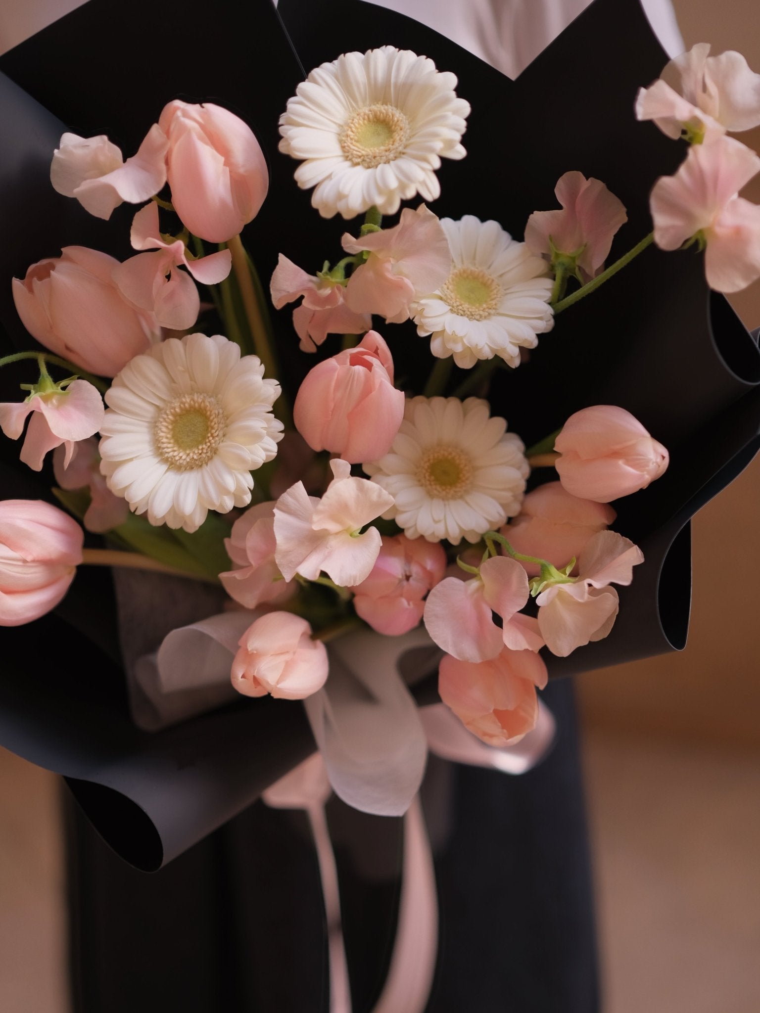 Dark Apricot | Salmon Tulip - 2026 Valentine's Day - 