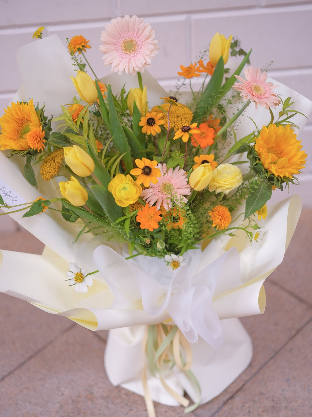 Sunlit Yellow Tulip | Sunflower