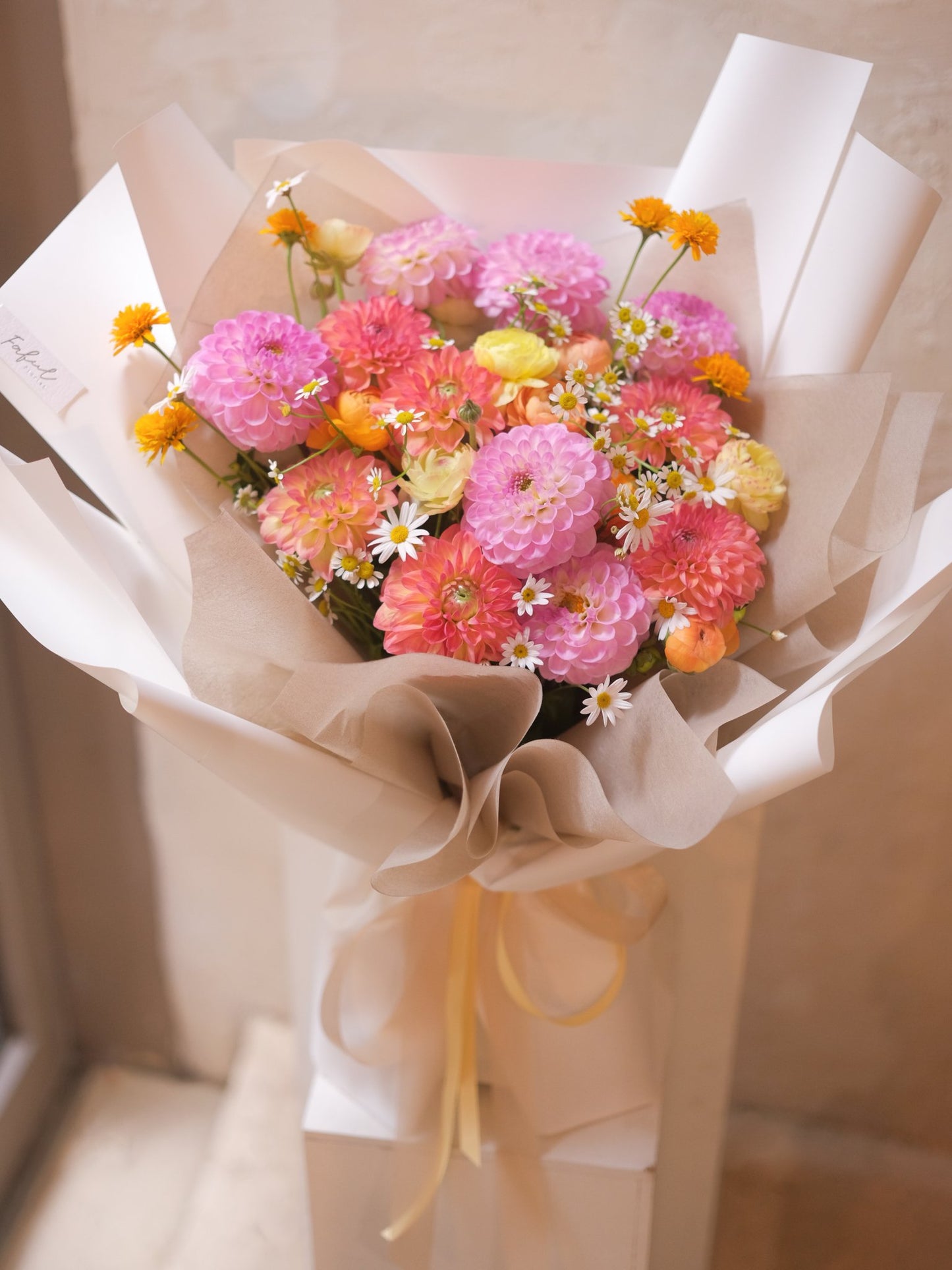 Mixed Dahlia |