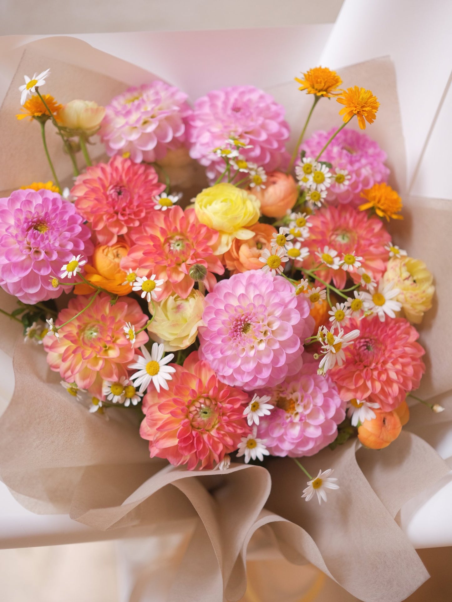 Mixed Dahlia |