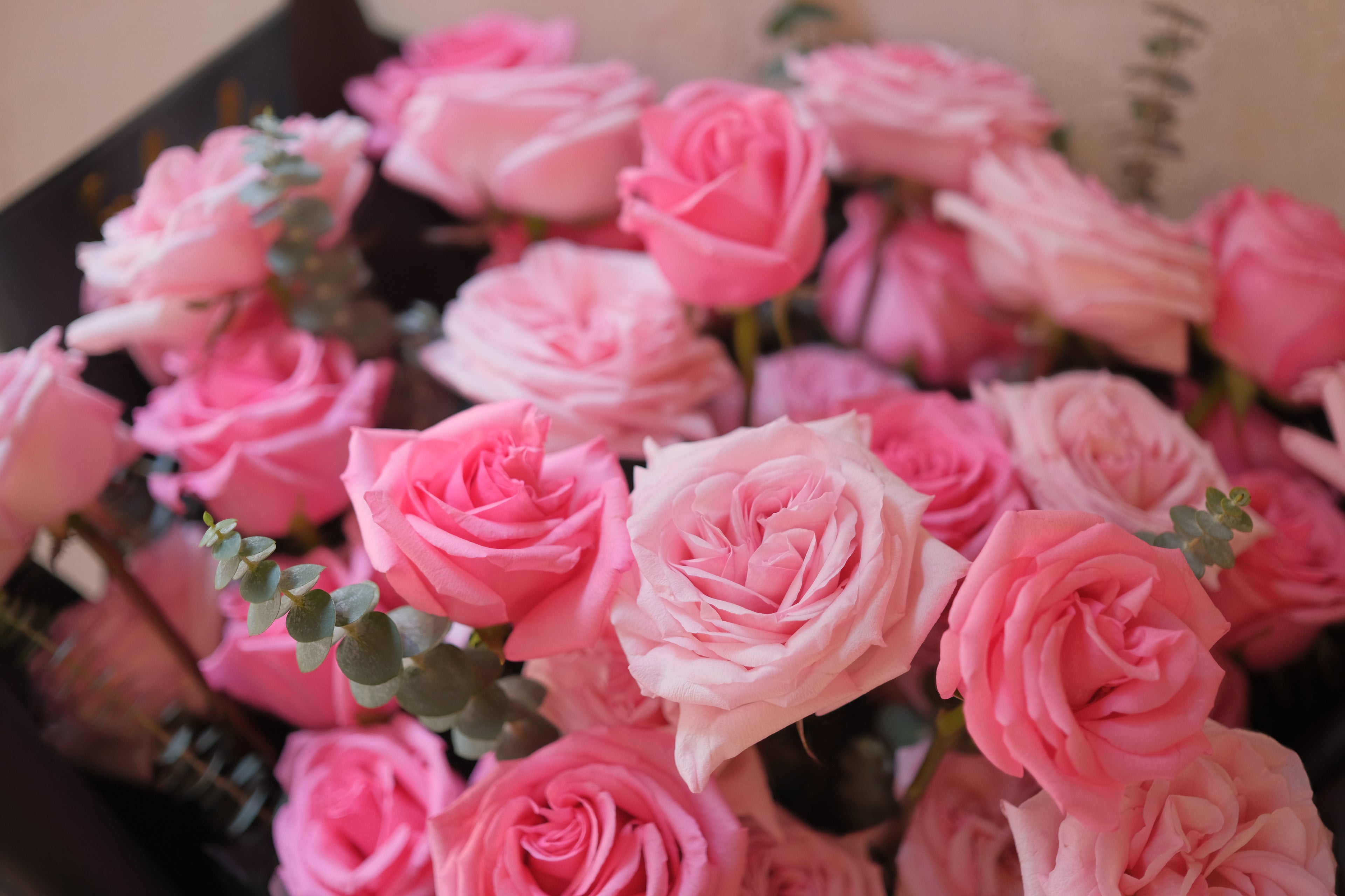 Faful Florist 花店 2026情人節系列, 鮮艷的粉紅色玫瑰，打造動人情人節。