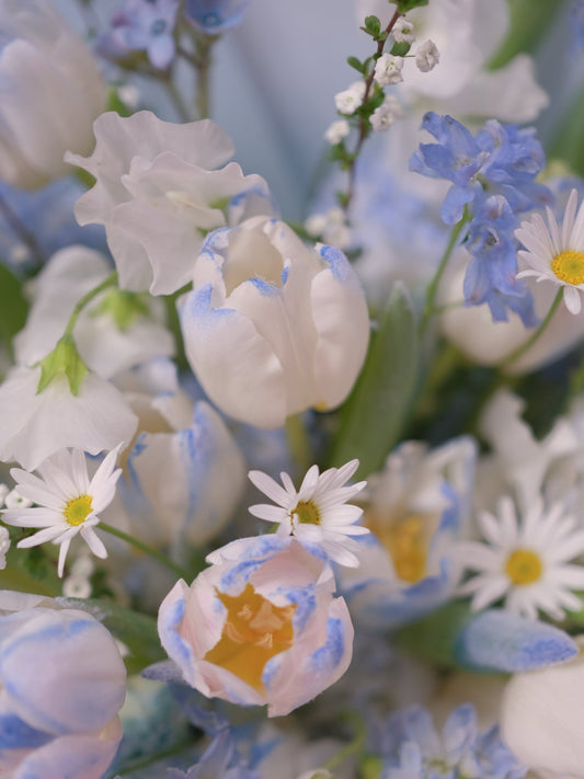 Frozen Kiss | Frozen Light Blue Tulip - 2026 Valentine's Day - 