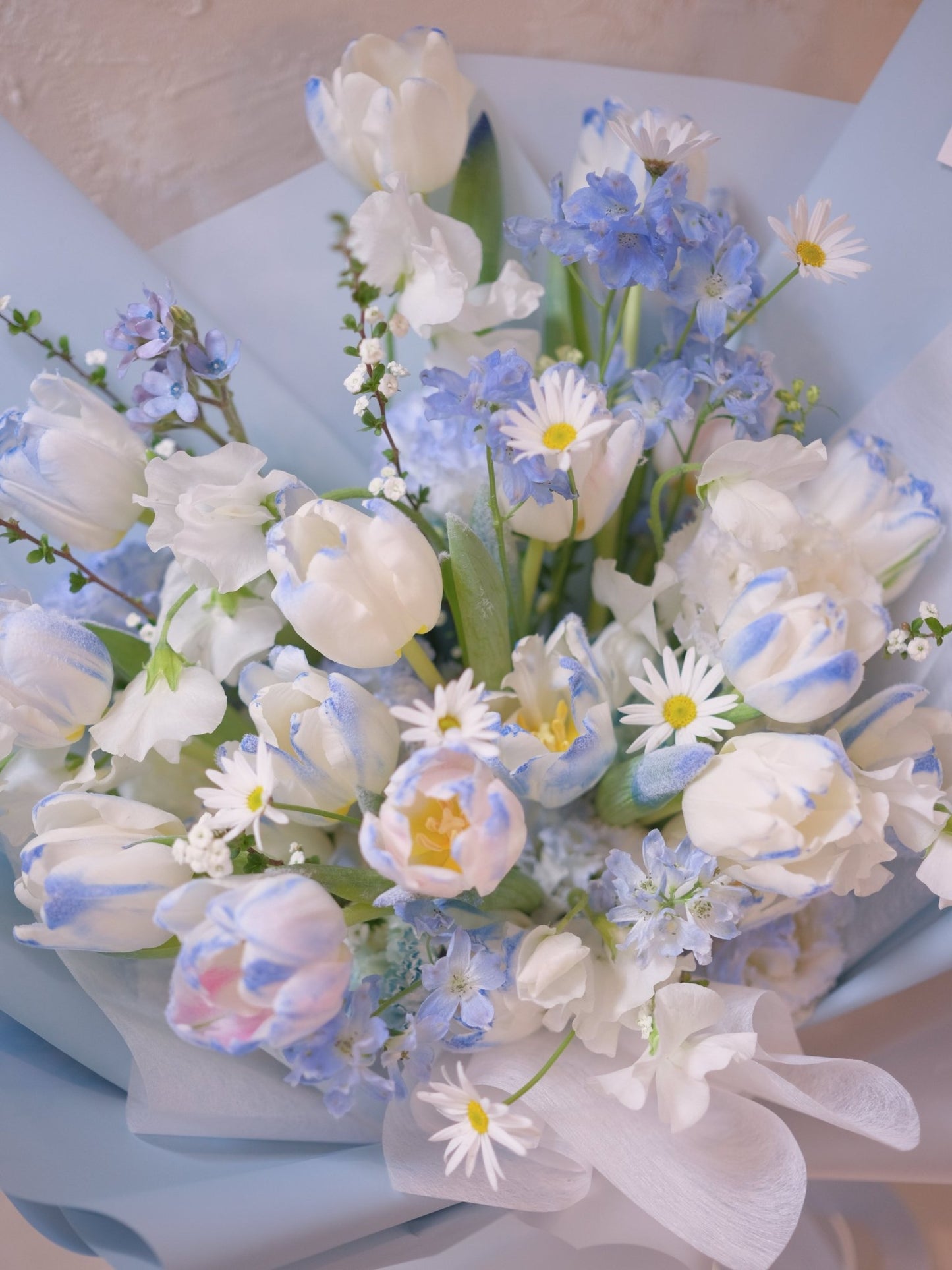 Frozen Kiss | Frozen Light Blue Tulip - 2026 Valentine's Day - 