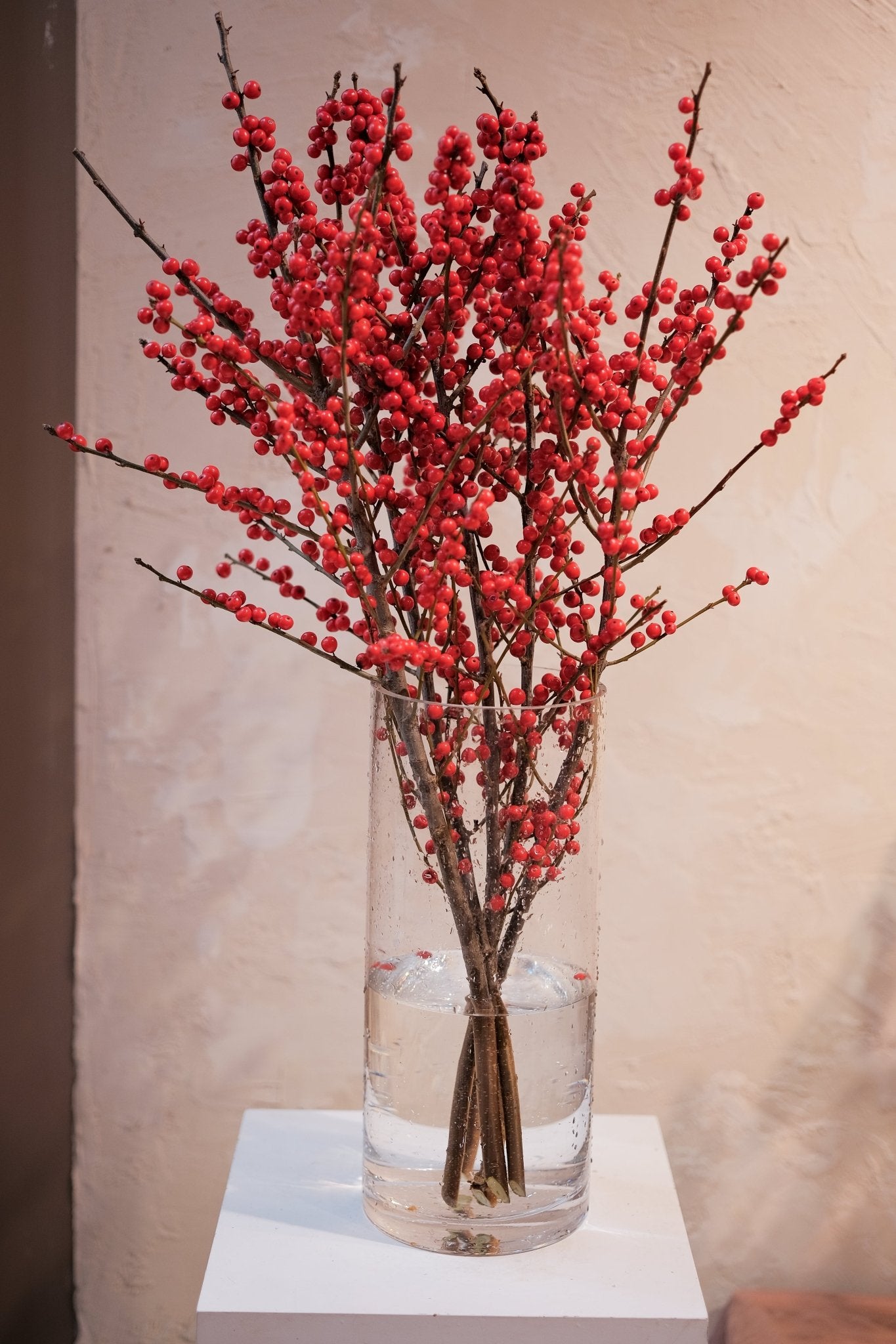 Ilex - 2026 Chinese New Year - CNY Flowers - 