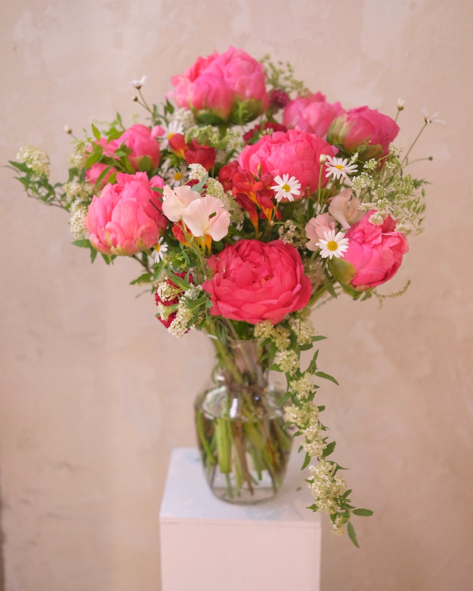 Love in Motion | Coral Charm Peony - 2025Mday - 1