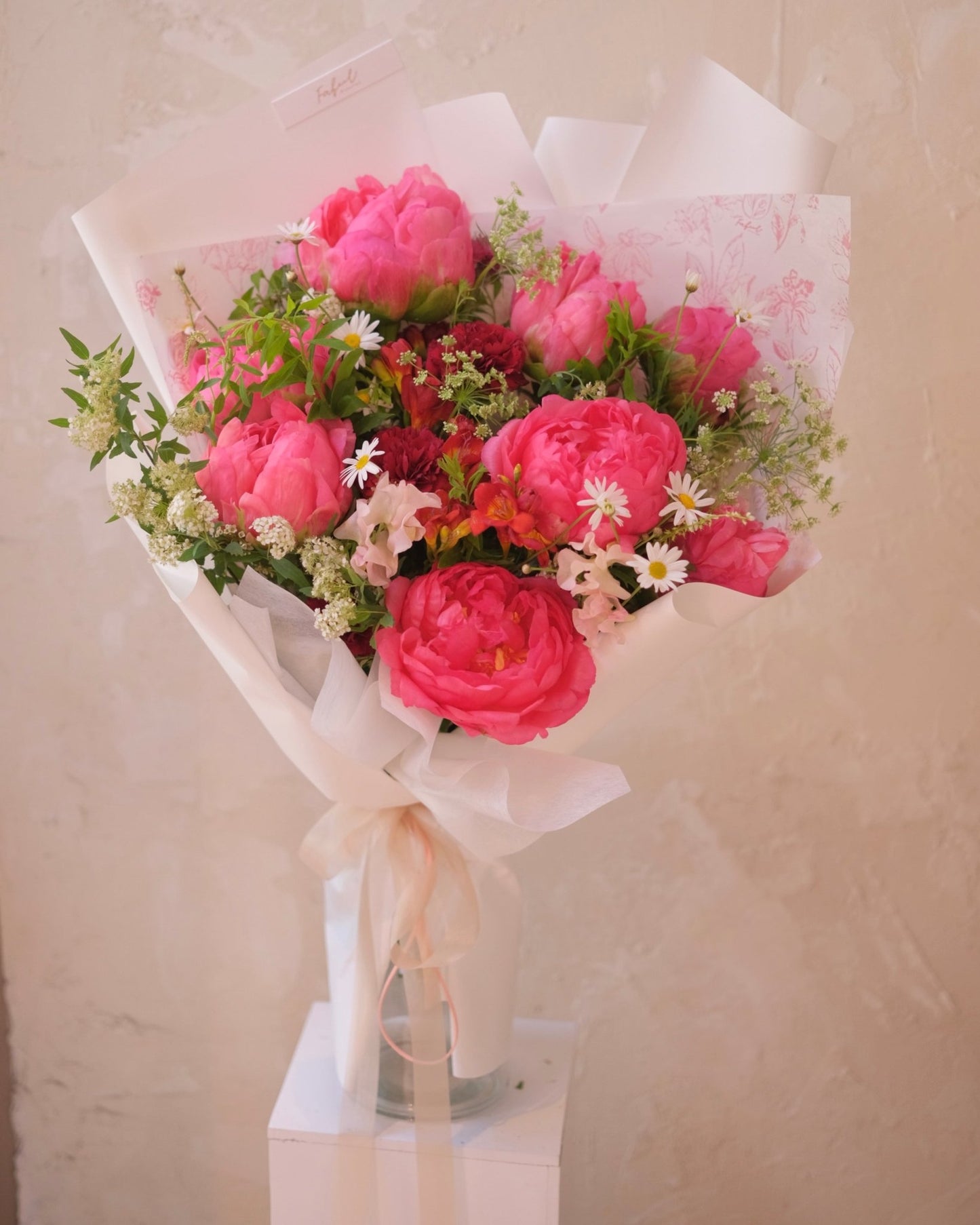 Love in Motion | Coral Charm Peony - 2025Mday - 3