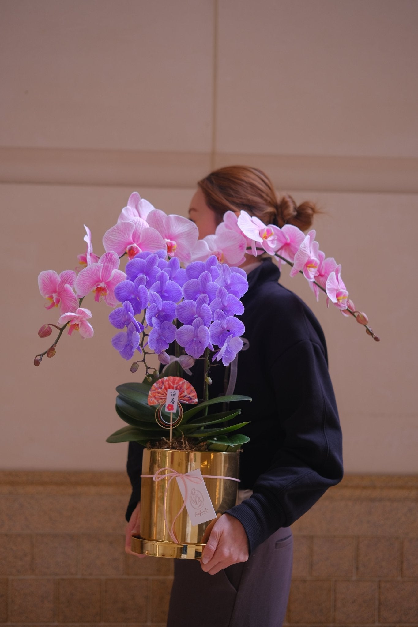 Macaron Orchid | Mixed Orchid - Fresh flowers - 2025CNY - 1