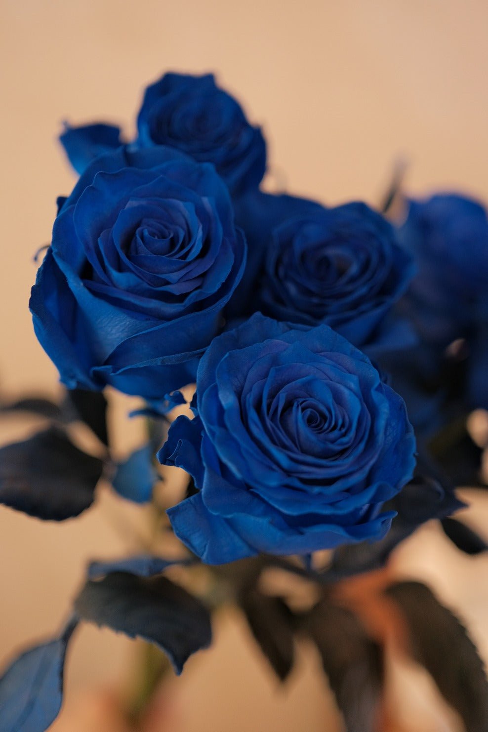 Mystery| Blue Rose - Fresh Flowers - Bouquet - Blue Rose - Bouquet - Romance - 3