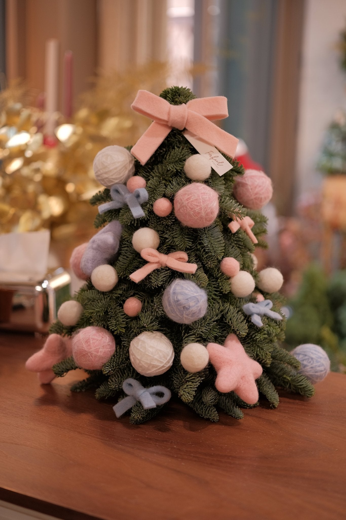 Noble Fir Christmas Tree - 2025xmas - 10