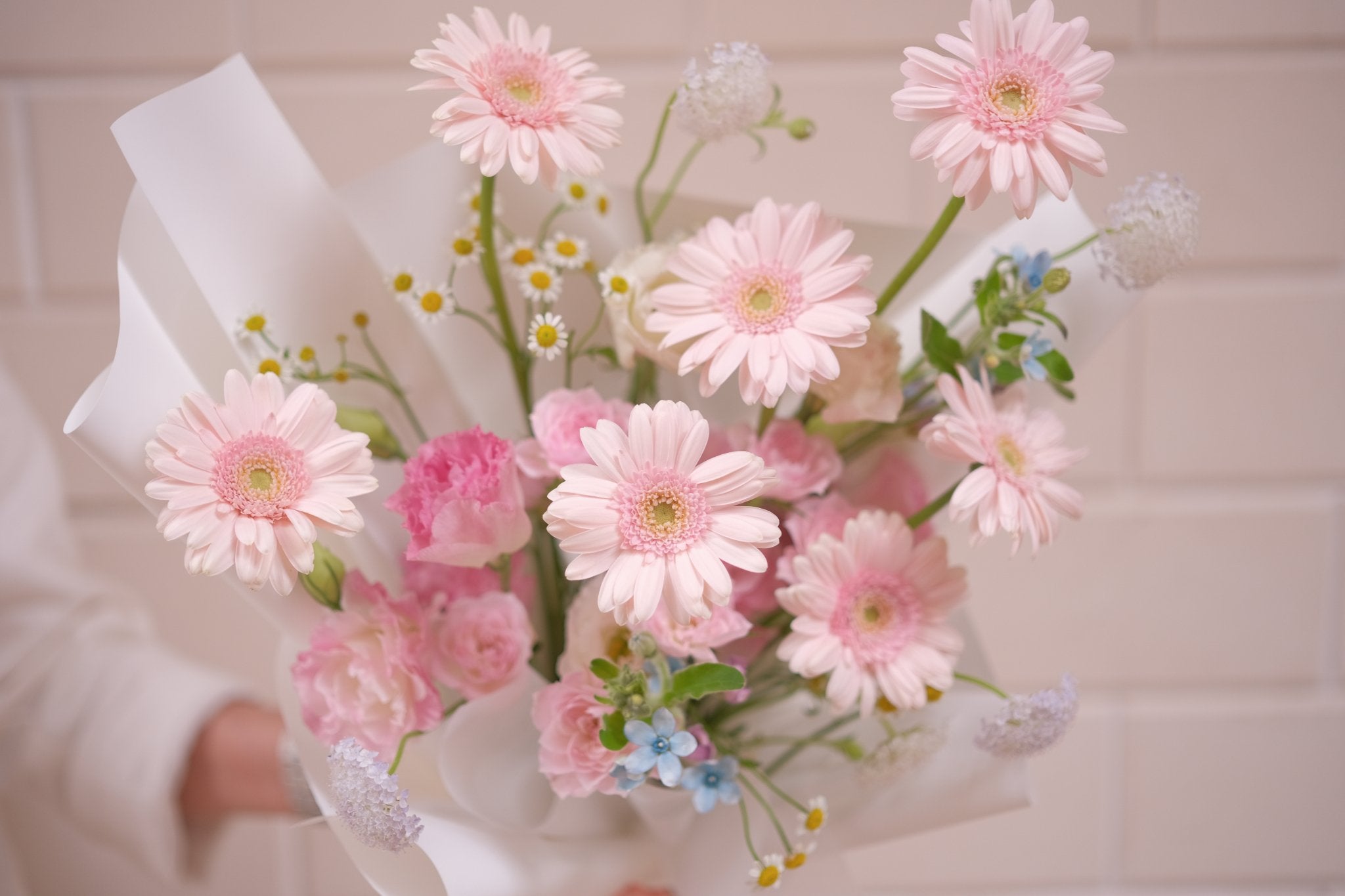 Soft pink gerbera graduation bouquet with pink accents in white wrapping and blue details, perfect congratulatory surprise for graduates.