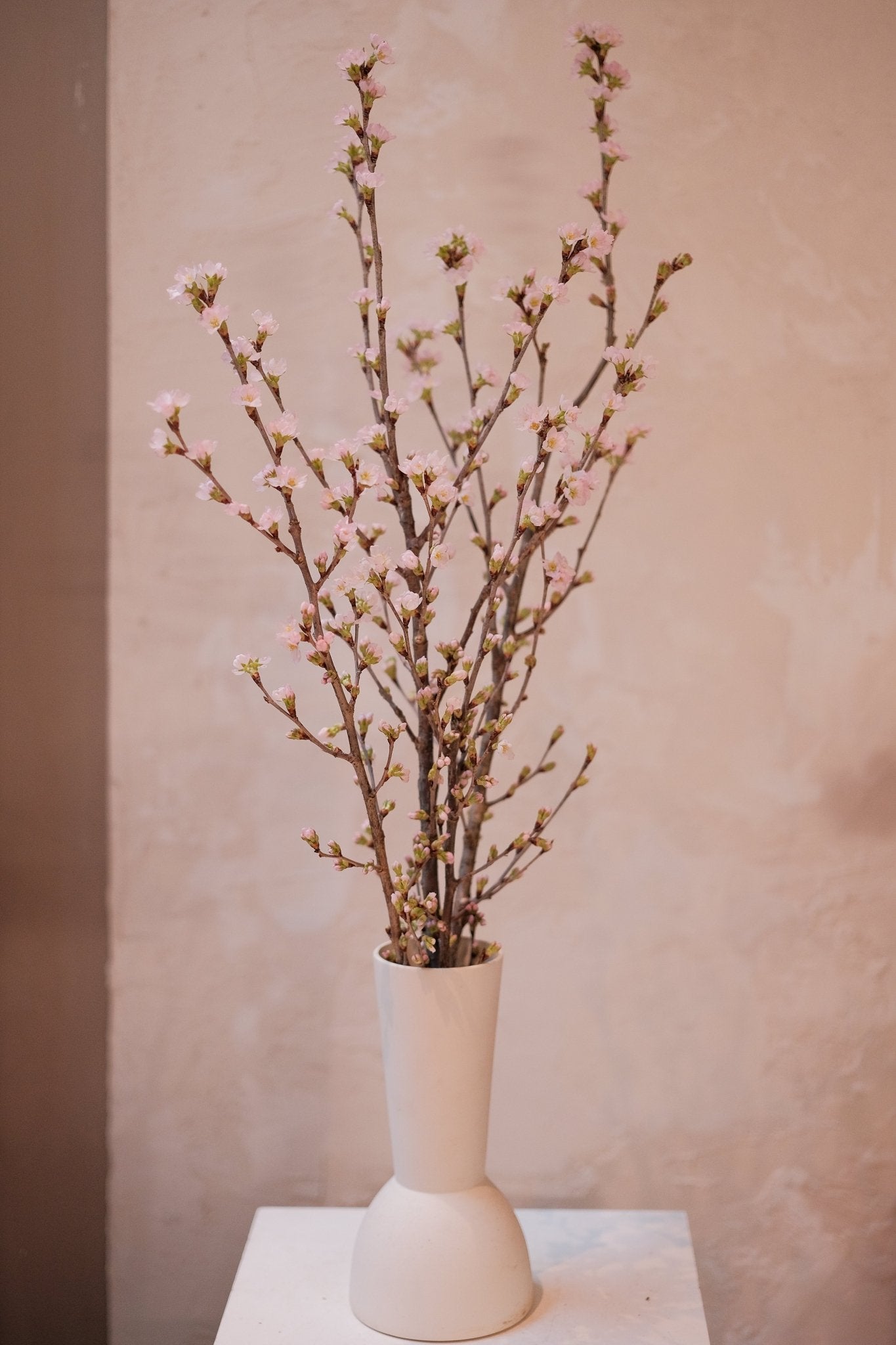 Sakura 。啓翁櫻 - Fresh flowers, Chinese new year - 2026 Chinese New Year - CNY Flowers - 年花