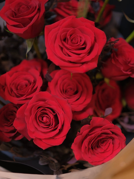 Velvet Heart | Red Rose - 2026 Valentine's Day - 