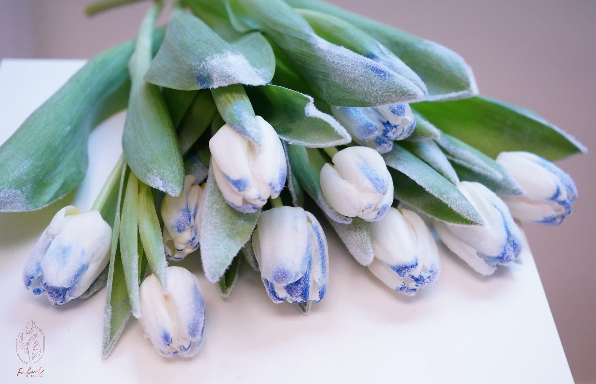 "Snowflake Flowers" - A delicate arrangement featuring frozen tulips reminiscent of snowflakes, perfect flowers for flower delivery in Hong Kong.6