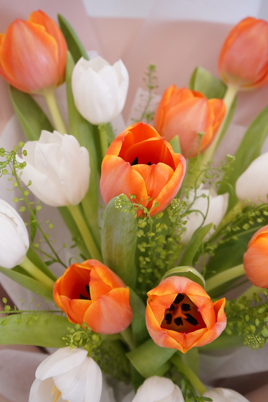 Tulip (2 Colors) - Fresh flowers, Tulips- 18 stems - Orange - Yellow - Anniversary - Birthday - Bouquet - 5