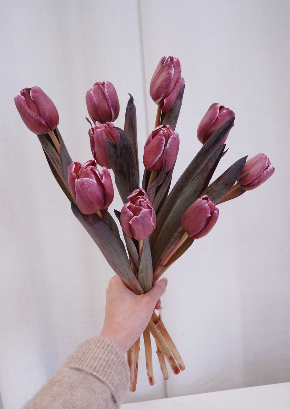 "Brownies Tulip Flowers" - An exquisite arrangement showcasing brownies tulips, perfect flowers for flower delivery in Hong Kong.2