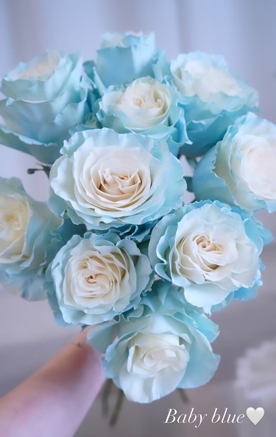 Baby Blue Rose - Fresh flowers, Roses- 10stems - - Bouquet - Rose - 3