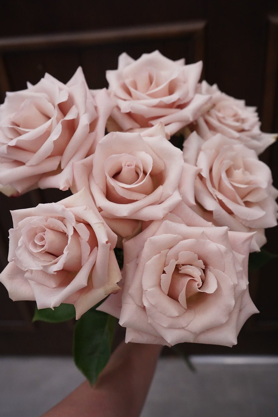 Creamy Blush Pink | Quicksand Rose - Fresh flowers, Roses- 20stems - - Bouquet - Rose - 9