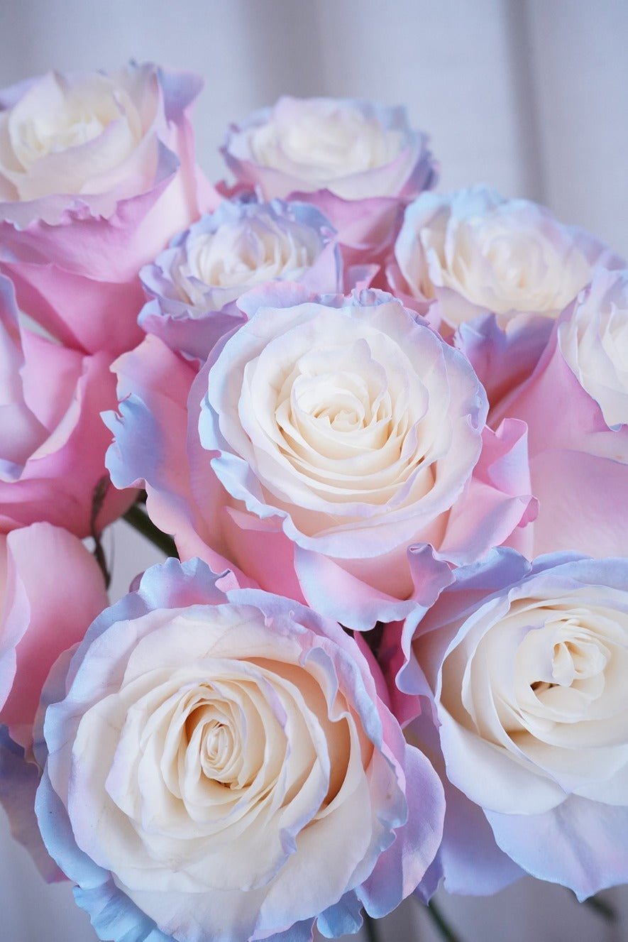 Dreamy | Unicorn Rose - Fresh flowers, Roses- 10 Stems - - Bouquet - Rose - 5
