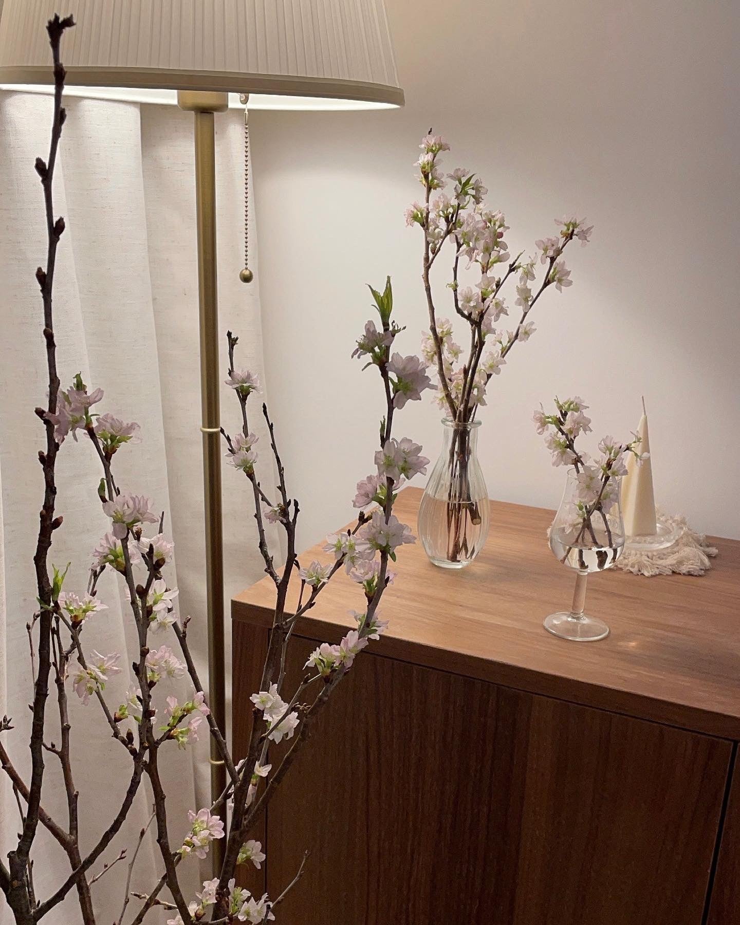 日本山形縣。啓翁櫻 Sakura - Fresh flowers, Chinese new year- 1枝 - - 年花 - - 2