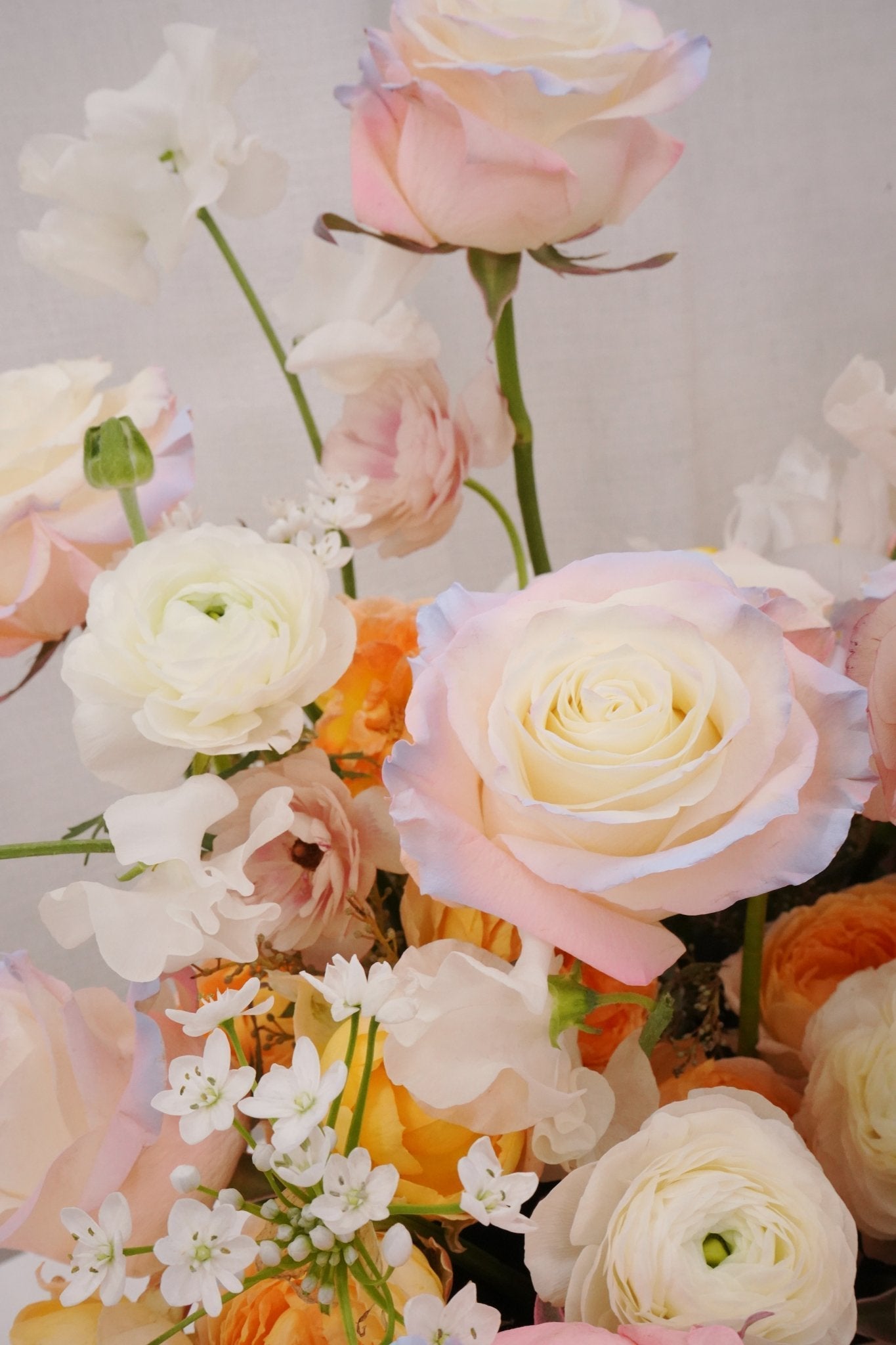 Honey love | Unicorn Rose - Fresh flowers, Roses- Honey love - - Feather - 2023vday - Surprise Box - 3