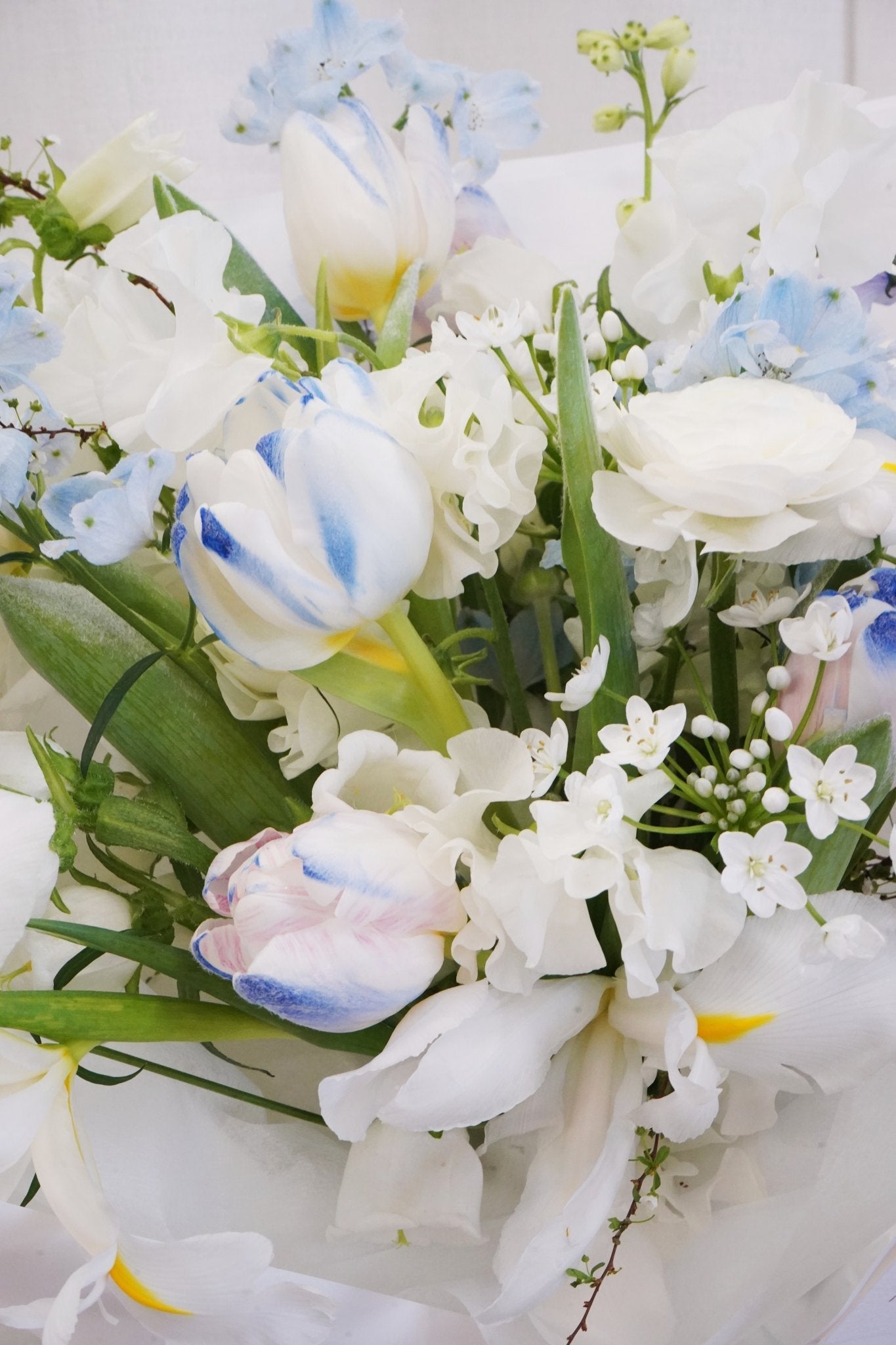 Sky Blue | Frozen Tulip - Fresh flowers, Tulips- 11 Stems - - 2024vday - Bouquet - 5