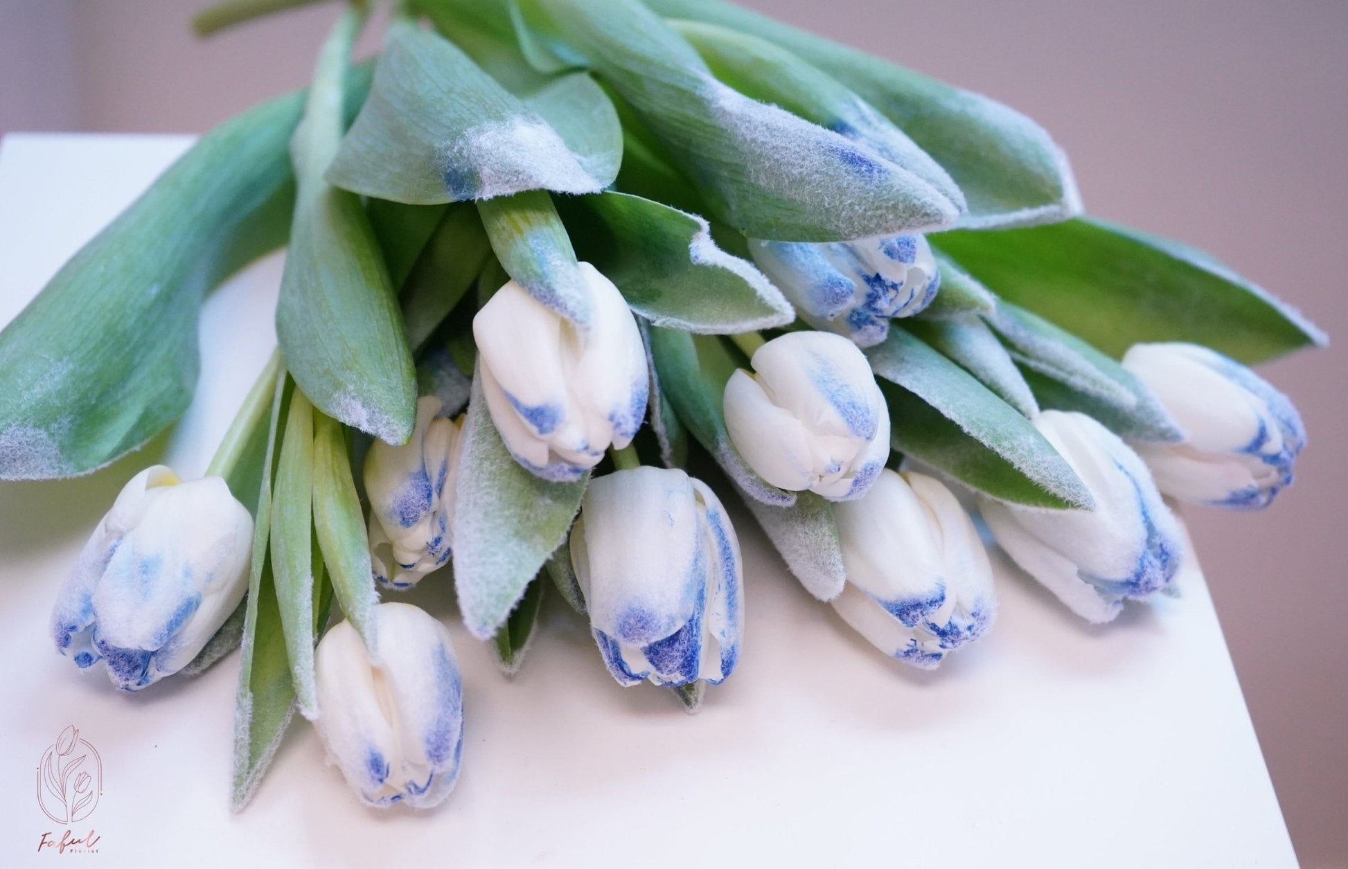 Snowflake (Frozen Light Blue Tulip) | Light Blue Tulips - Fresh Flowers - Bouquet - Bouquet - for him - Speedy Recovery - 6