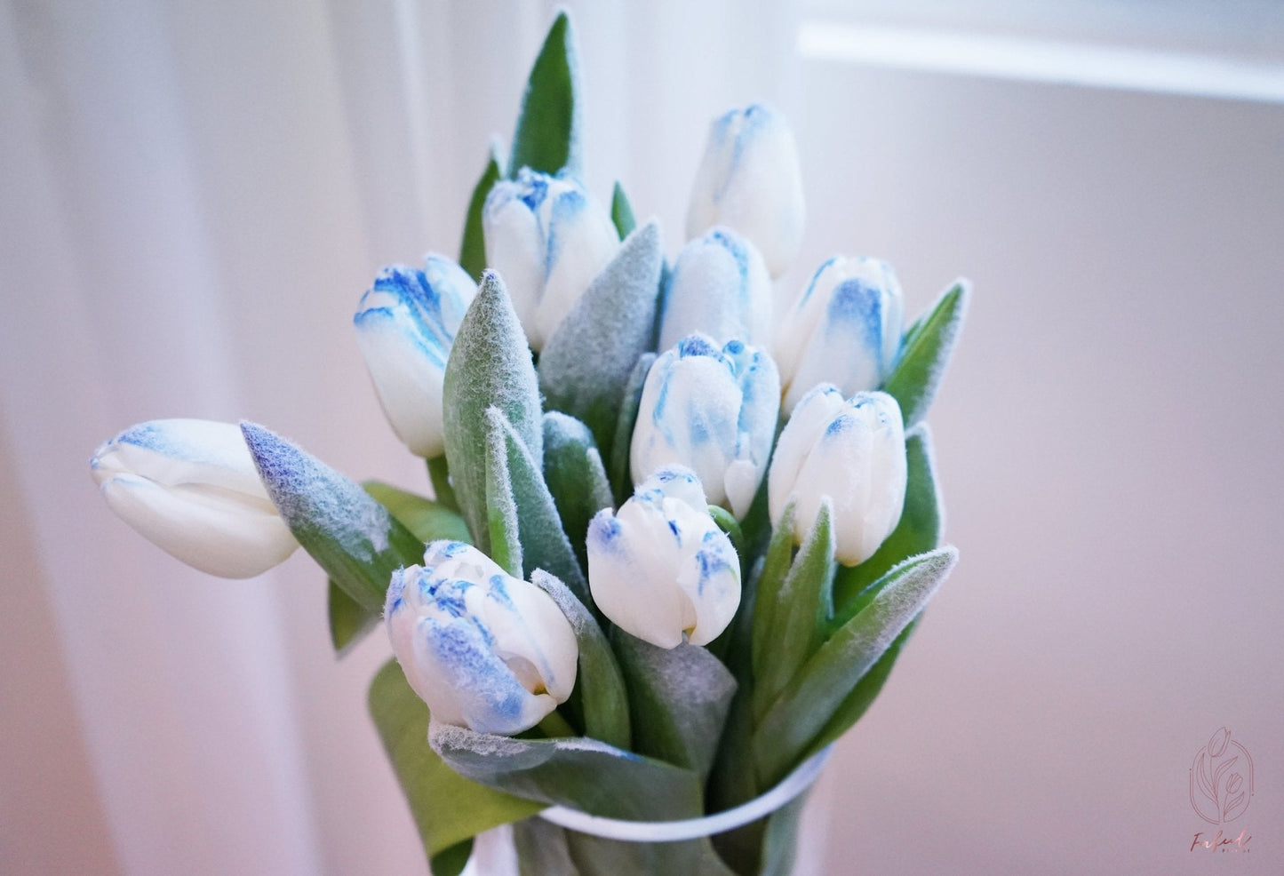 Snowflake | Frozen Tulip - Fresh flowers, Tulips- 10 Stems - - Bouquet - Tulip - 5